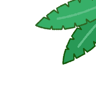subscription-promotion-background-leaf-2